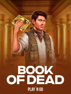 Rainbet Slot Game Book Of Dead