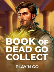 Book Of Dead Go Collect Rainbet Slot Game